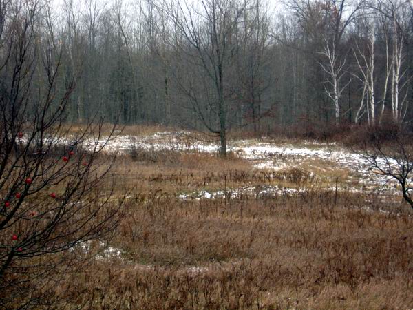 West Branch Speedway (Rau and I-75) - November 2006